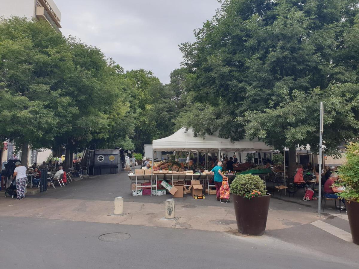 Une Heureuse Coincidence Montpellier Dış mekan fotoğraf